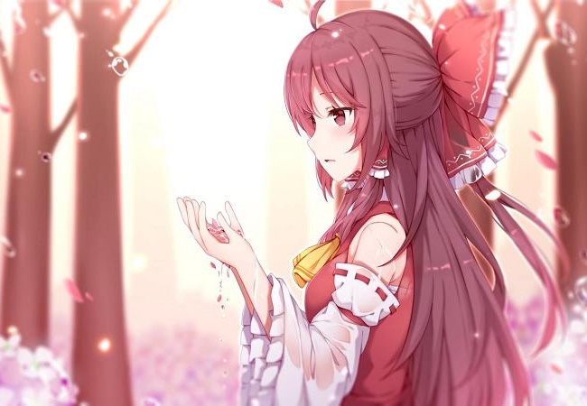 彩神网